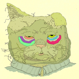 не спящий кот