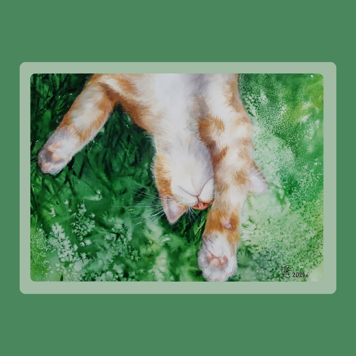 Дневной сон 