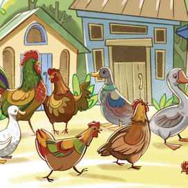 птичий  двор