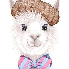 Alpaca