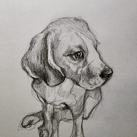 Мистер Дарси