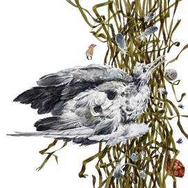 Дары моря. Графическая сага.