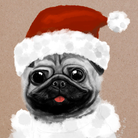 Любимое животное: Мопсы