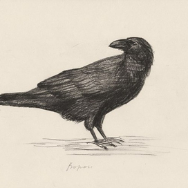 Серия "Птицы"