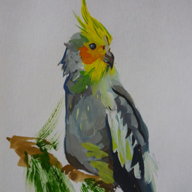 Попугайчик 