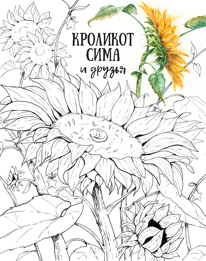 Страница раскраски