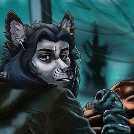 Фурри версия Беллы Свон 