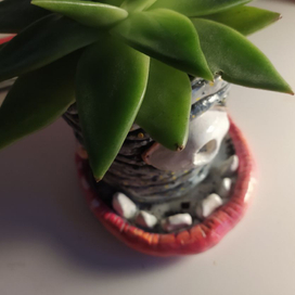 Горшочек - кадавр 