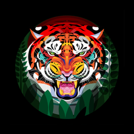 Индийский тигр