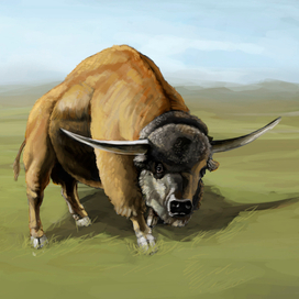 Иллюстрация для Музея "Пермь"