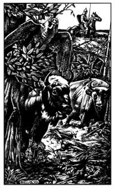 без названия