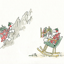 Новый домик для черепашки