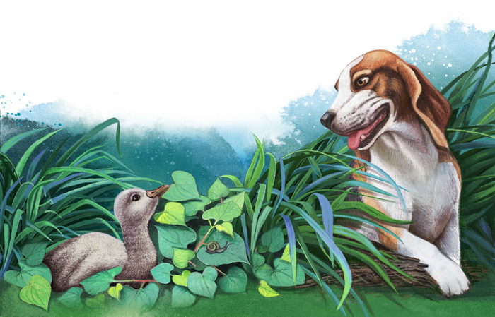 Иллюстрация к сказке "Гадкий утенок"