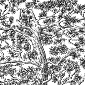 Дерево самодельное, фрагмент