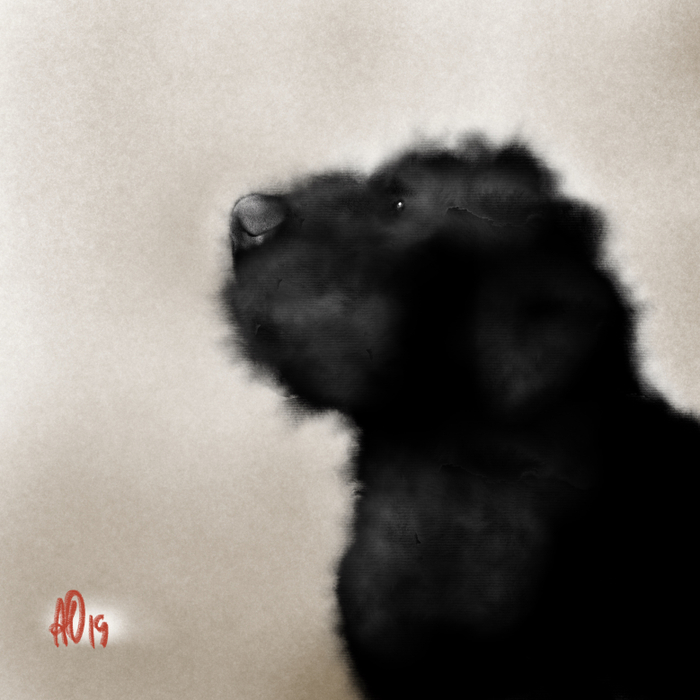 Чёрная собака