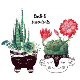 Кактусы и суккуленты