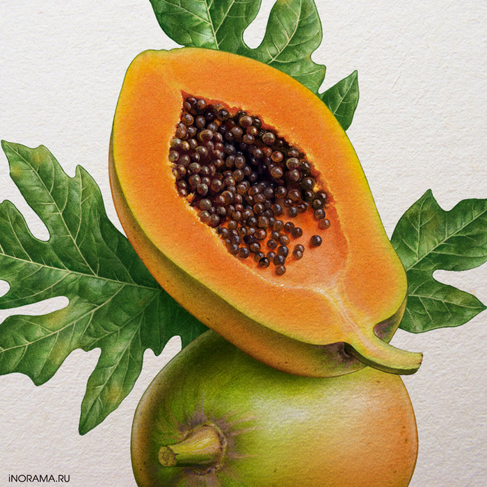 Папайя