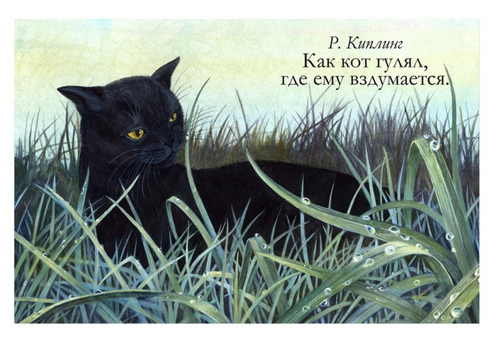 Как кот гулял, где ему вздумается