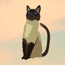 Тайский кот