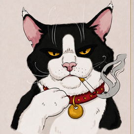 Котяра