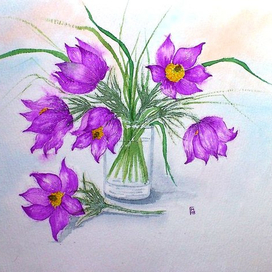 Подснежники