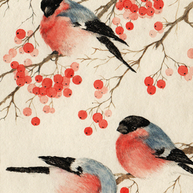 Снегири прилетели.