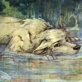 Glad the waters are so shallow