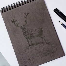 Северный олень