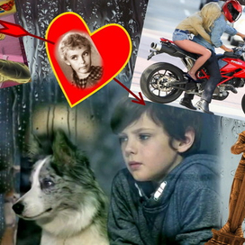 Амурный многогранник