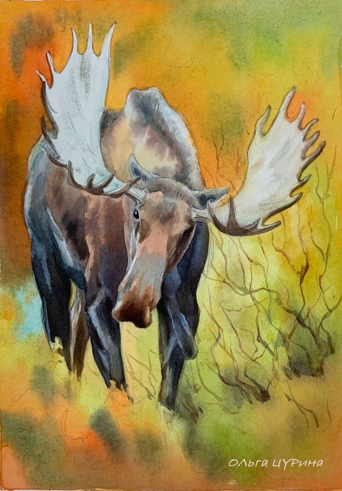 Иллюстрация к рассказу Соколова-Микитова «Лоси»