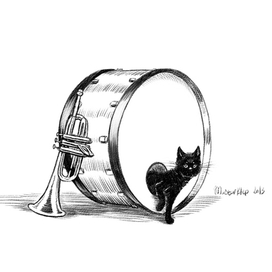 Бывает кот в мешке, а бывает в барабане. ;)