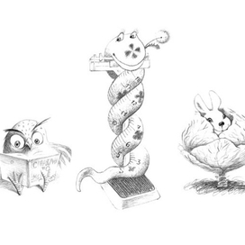 картинки на полях