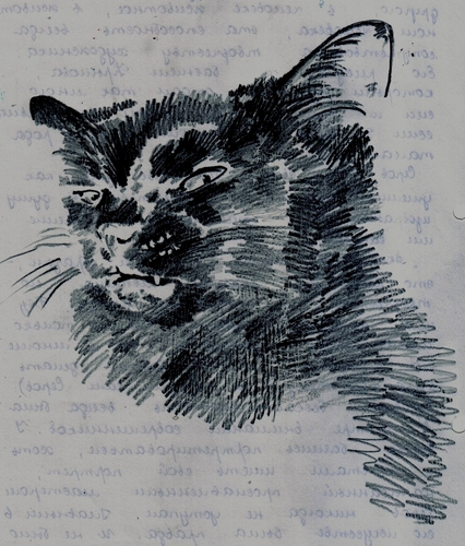 М.А. Булгаков. Мастер и Маргарита. Кот Бегемот (х 2)