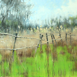 Наблюдатели