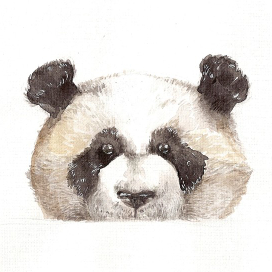 Иллюстрация к обложке книги про панд