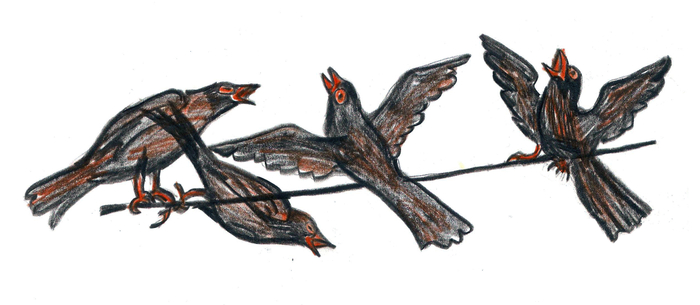 FOURTH DAY OF CHRISTMAS