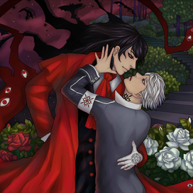 Алукард и Кирию Зеро