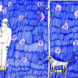 (без названия)