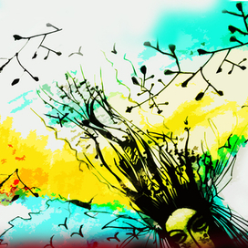 чёрные волосы в закате