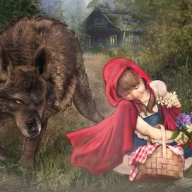  толкова красиви цветя.  Красная Шапочка