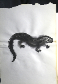 Саламандра и сверчок 