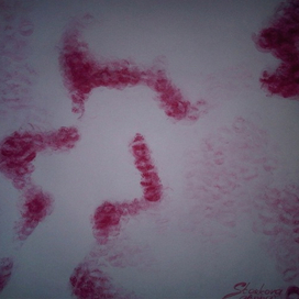 Поцелуй ,если сможешь