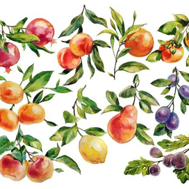 Акварельные фрукты