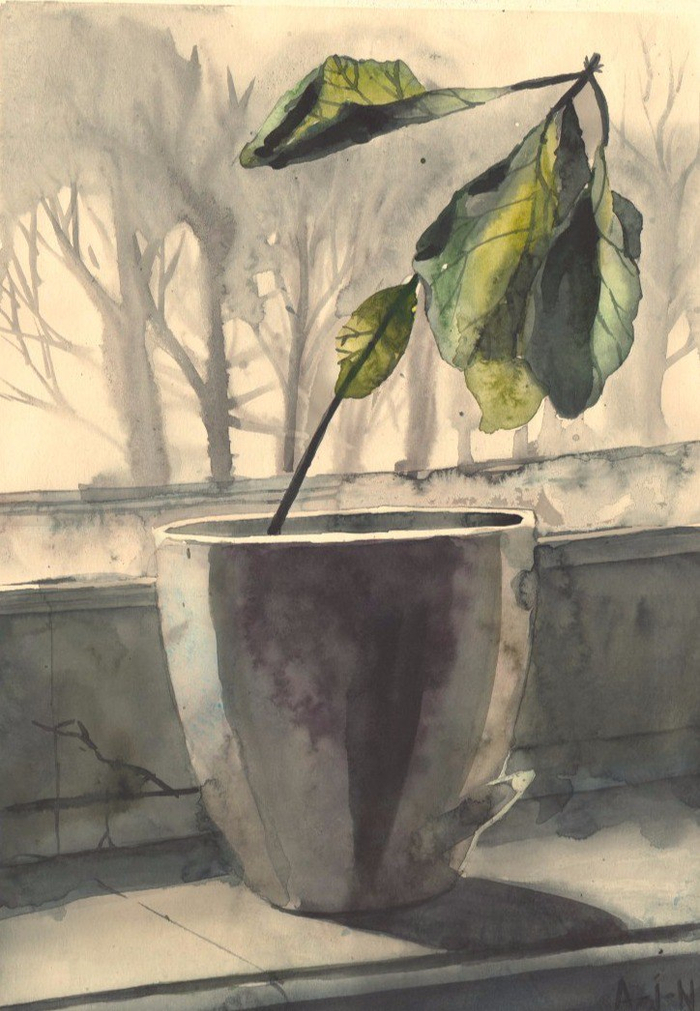 Завядший по осени