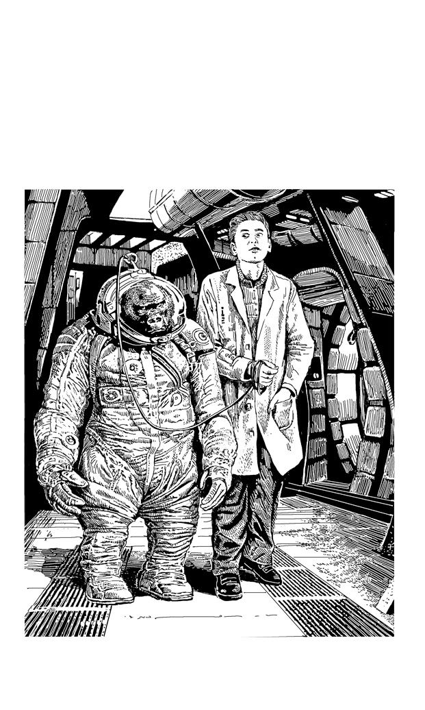 иллюстрация