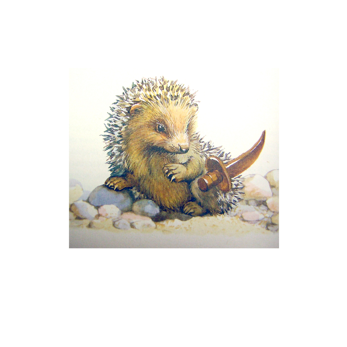 "Ежи Рукавица и Катушка" В.Дуров