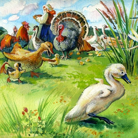 Гадкий утёнок