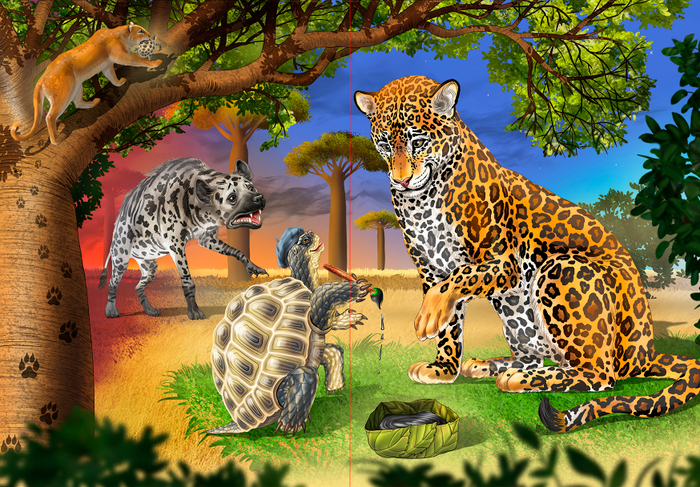 The African Tale of the Hyena and the Turtle