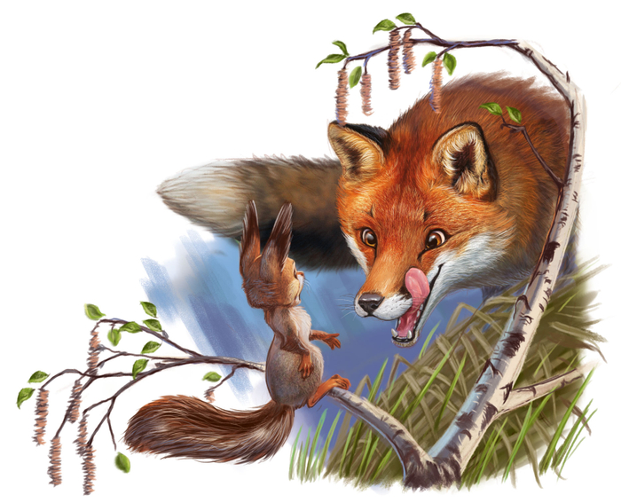 Белочка, держись!