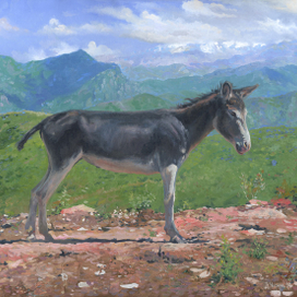 Ослик в горах